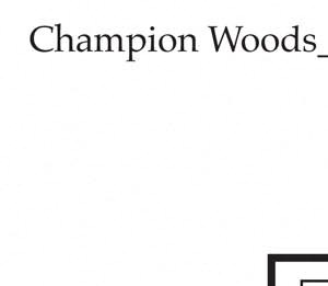 Lakewood 2